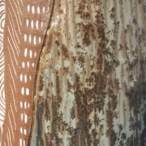26. Vase Abstract - Image 4