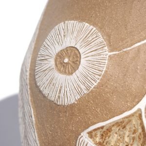 21. Eucalyptus V - Image 5