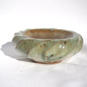04. Operculum IV