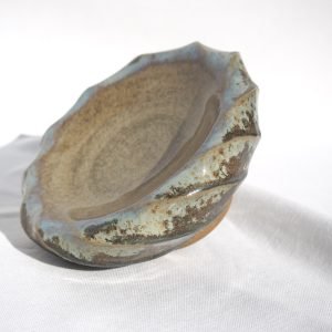 05. Operculum V