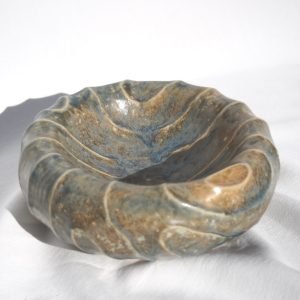 01. Operculum I