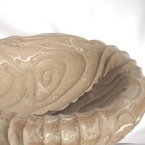 27. Operculum Large Marble - Image 3