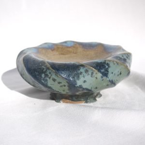 03. Operculum III