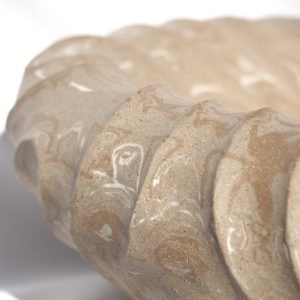 27. Operculum Large Marble - Image 6