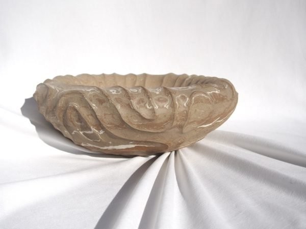 27. Operculum Large Marble
