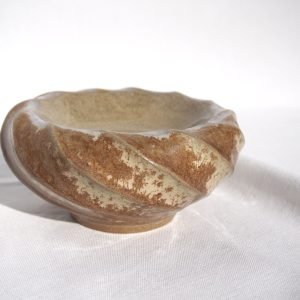 06. Operculum VI