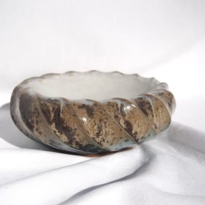 02. Operculum II
