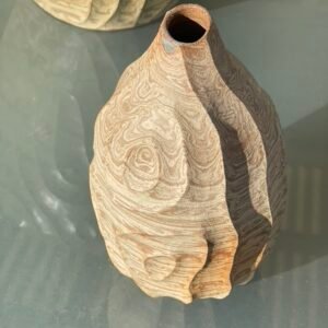 Hidden - Capsule